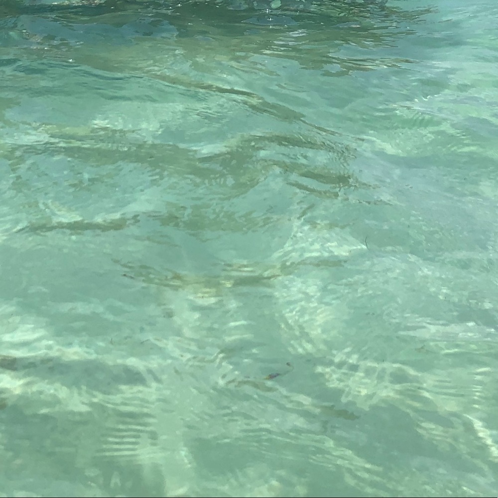 Meet your Posher, Kathleen